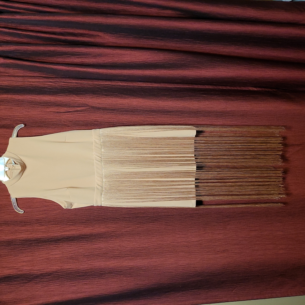 New York and Company Fringed Dress